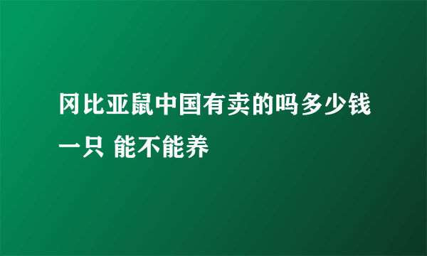 冈比亚鼠中国有卖的吗多少钱一只 能不能养