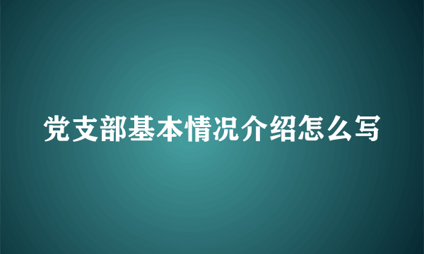 党支部基本情况介绍怎么写