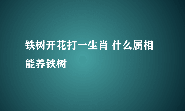 铁树开花打一生肖 什么属相能养铁树