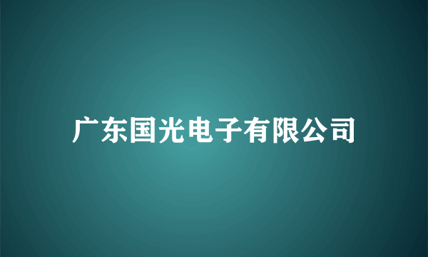 广东国光电子有限公司