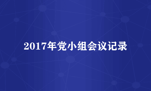 2017年党小组会议记录