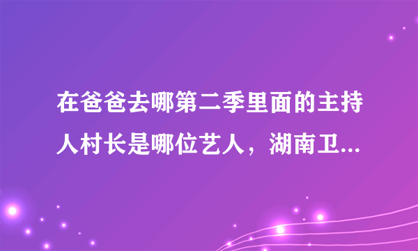 在爸爸去哪第二季里面的主持人村长是哪位艺人，湖南卫视的吗？资历和何炅怎么样？