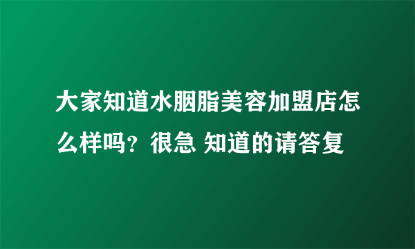 大家知道水胭脂美容加盟店怎么样吗？很急 知道的请答复