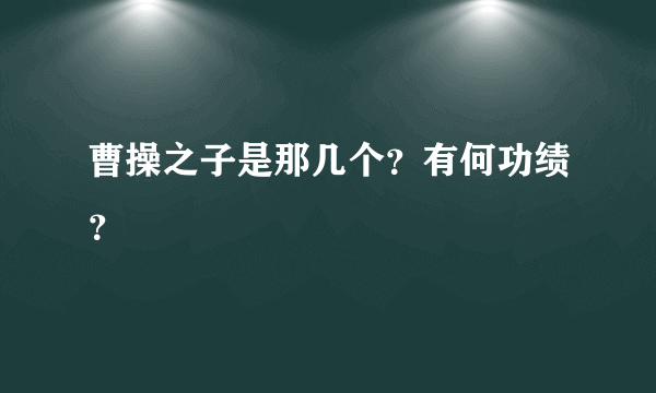 曹操之子是那几个？有何功绩？