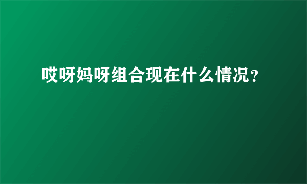 哎呀妈呀组合现在什么情况？