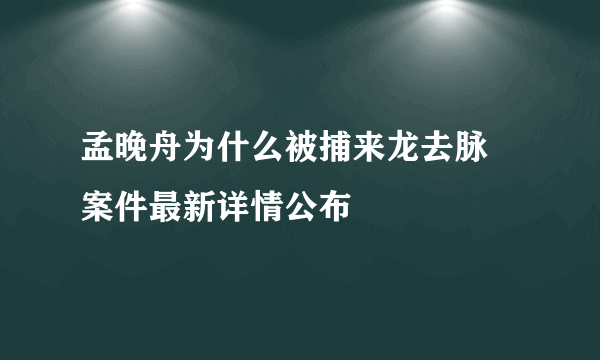 孟晚舟为什么被捕来龙去脉 案件最新详情公布