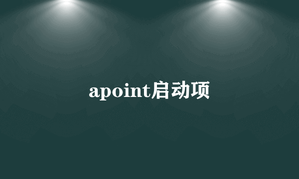 apoint启动项