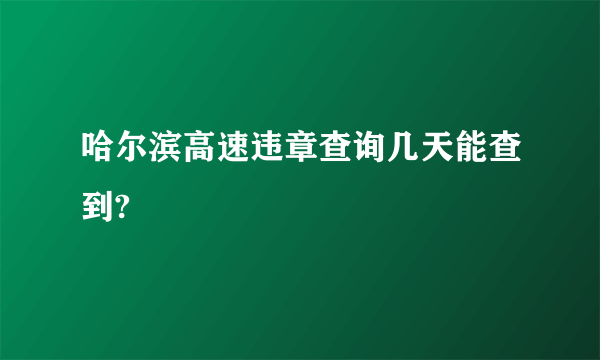 哈尔滨高速违章查询几天能查到?