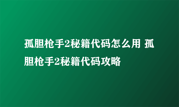 孤胆枪手2秘籍代码怎么用 孤胆枪手2秘籍代码攻略