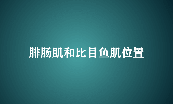 腓肠肌和比目鱼肌位置