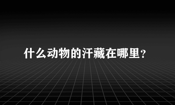 什么动物的汗藏在哪里？