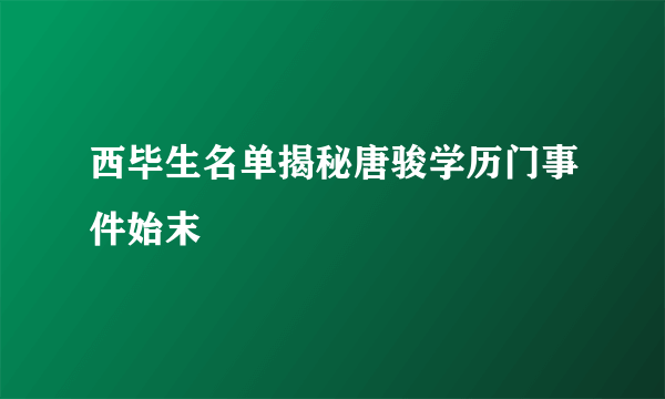 西毕生名单揭秘唐骏学历门事件始末