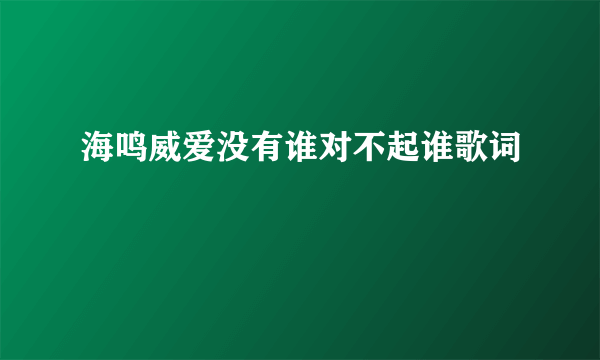 海鸣威爱没有谁对不起谁歌词