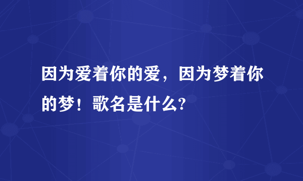 因为爱着你的爱，因为梦着你的梦！歌名是什么?