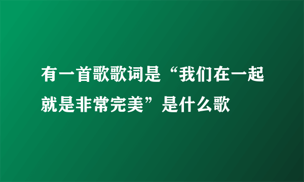 有一首歌歌词是“我们在一起就是非常完美”是什么歌