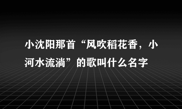 小沈阳那首“风吹稻花香，小河水流淌”的歌叫什么名字