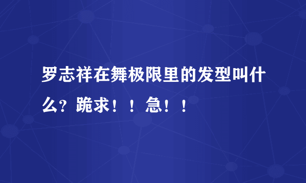 罗志祥在舞极限里的发型叫什么？跪求！！急！！