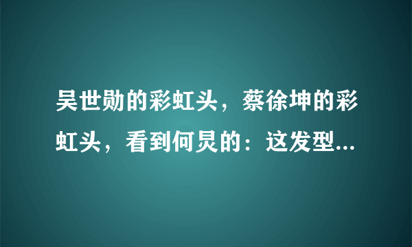 吴世勋的彩虹头，蔡徐坤的彩虹头，看到何炅的：这发型挺贵吧！