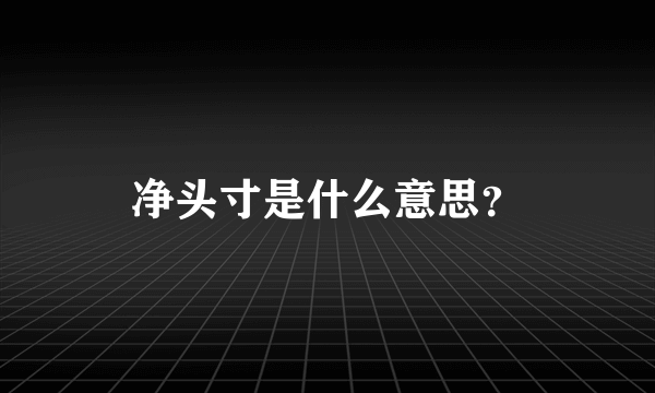 净头寸是什么意思？