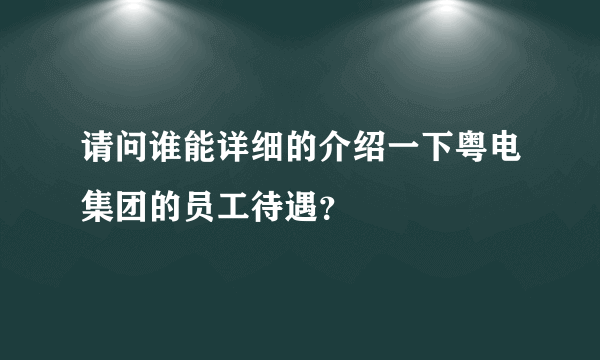 请问谁能详细的介绍一下粤电集团的员工待遇？