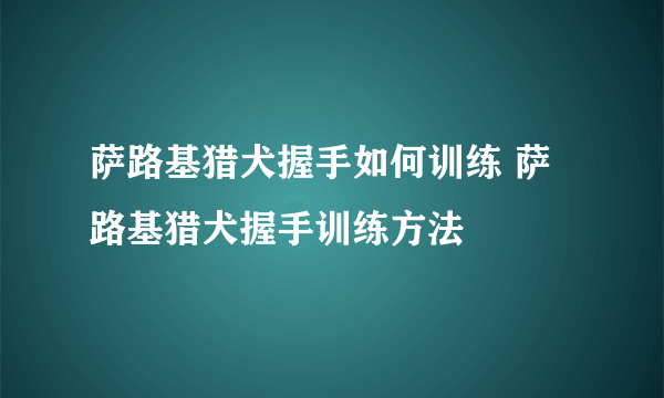 萨路基猎犬握手如何训练 萨路基猎犬握手训练方法