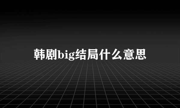 韩剧big结局什么意思