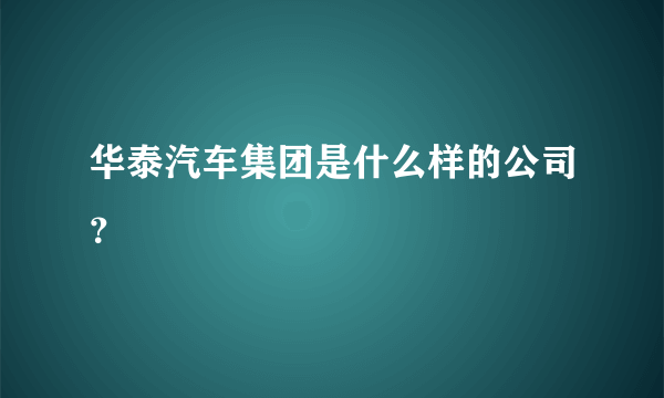 华泰汽车集团是什么样的公司？