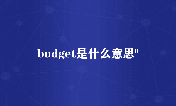 budget是什么意思