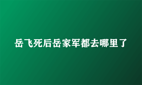 岳飞死后岳家军都去哪里了