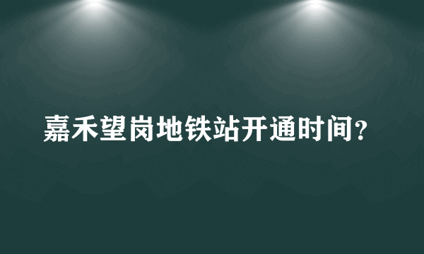 嘉禾望岗地铁站开通时间？