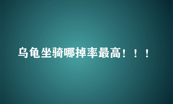 乌龟坐骑哪掉率最高！！！