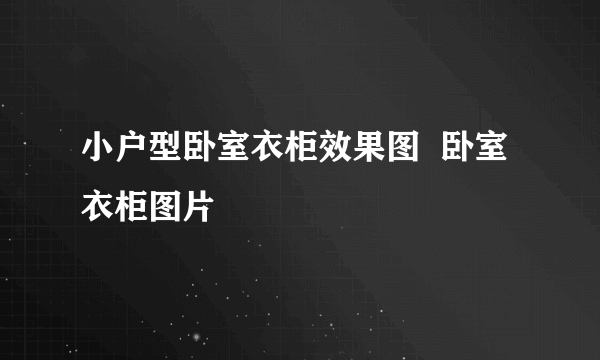 小户型卧室衣柜效果图  卧室衣柜图片