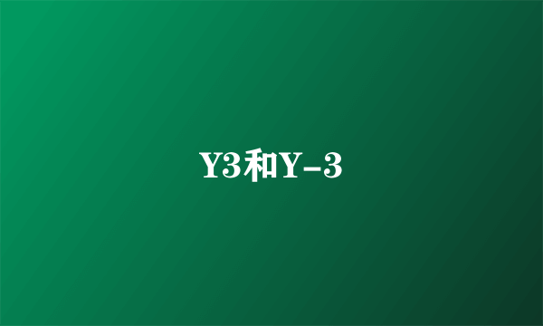 Y3和Y-3