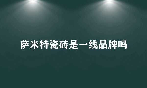 萨米特瓷砖是一线品牌吗