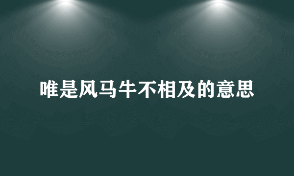 唯是风马牛不相及的意思