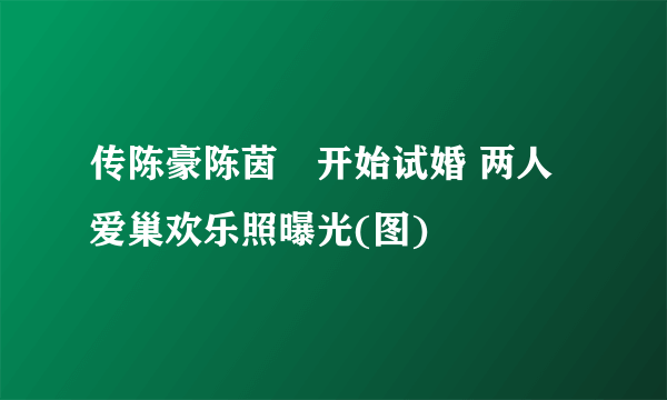 传陈豪陈茵媺开始试婚 两人爱巢欢乐照曝光(图)