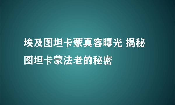 埃及图坦卡蒙真容曝光 揭秘图坦卡蒙法老的秘密