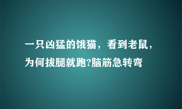 一只凶猛的饿猫，看到老鼠，为何拔腿就跑?脑筋急转弯