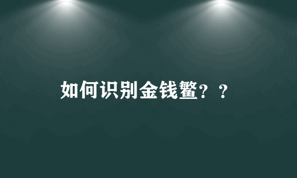 如何识别金钱鳘？？