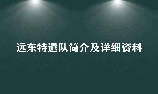 远东特遣队简介及详细资料