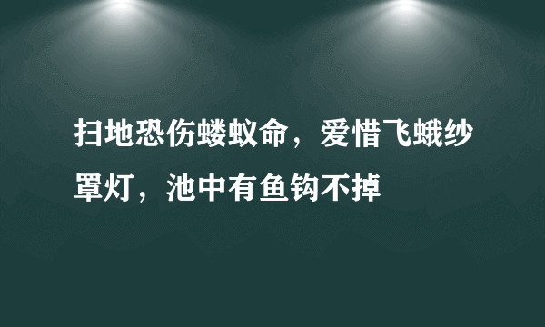 扫地恐伤蝼蚁命，爱惜飞蛾纱罩灯，池中有鱼钩不掉