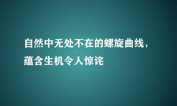 自然中无处不在的螺旋曲线，蕴含生机令人惊诧