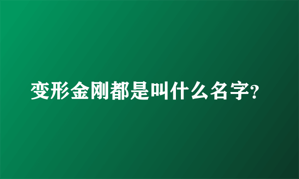 变形金刚都是叫什么名字？