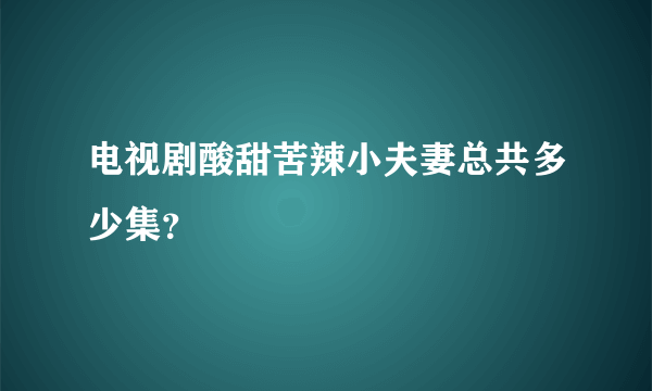 电视剧酸甜苦辣小夫妻总共多少集？