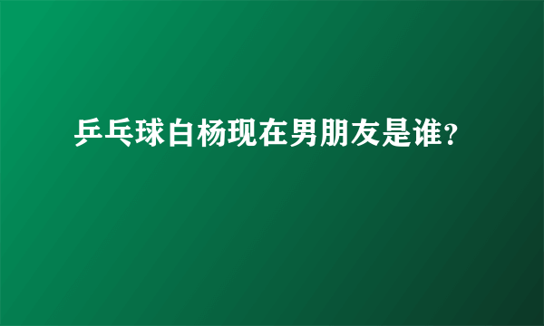 乒乓球白杨现在男朋友是谁？