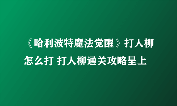 《哈利波特魔法觉醒》打人柳怎么打 打人柳通关攻略呈上