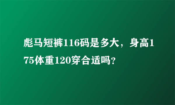 彪马短裤116码是多大，身高175体重120穿合适吗？