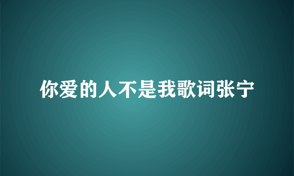 你爱的人不是我歌词张宁