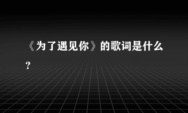 《为了遇见你》的歌词是什么？