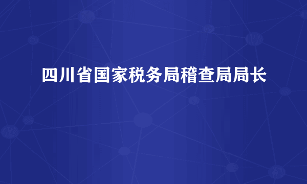 四川省国家税务局稽查局局长